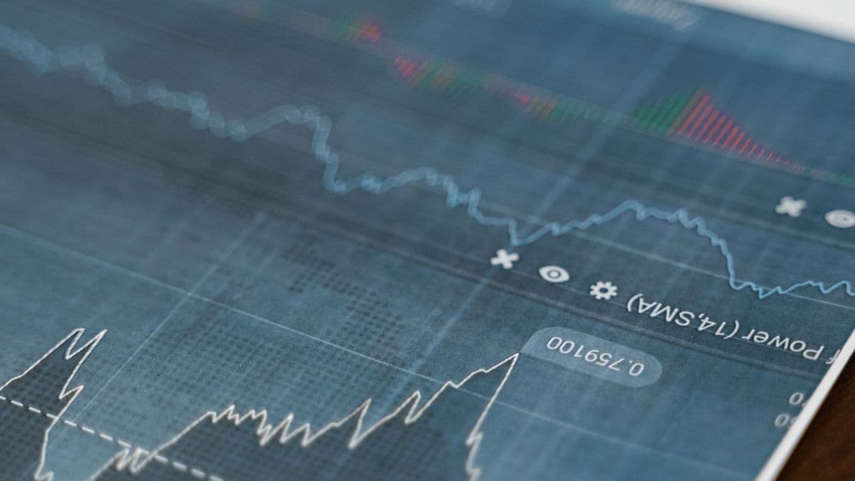 Financial growth analysis for an investment portfolio