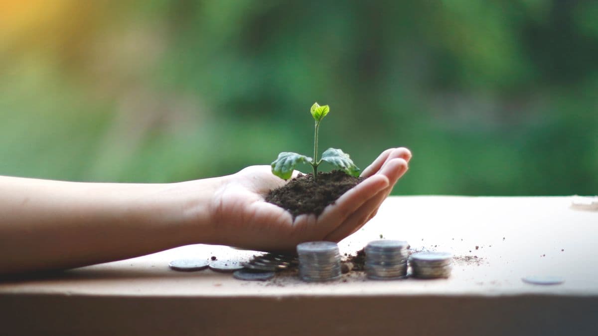 A hand holding a plant growing from coins, a money habit
