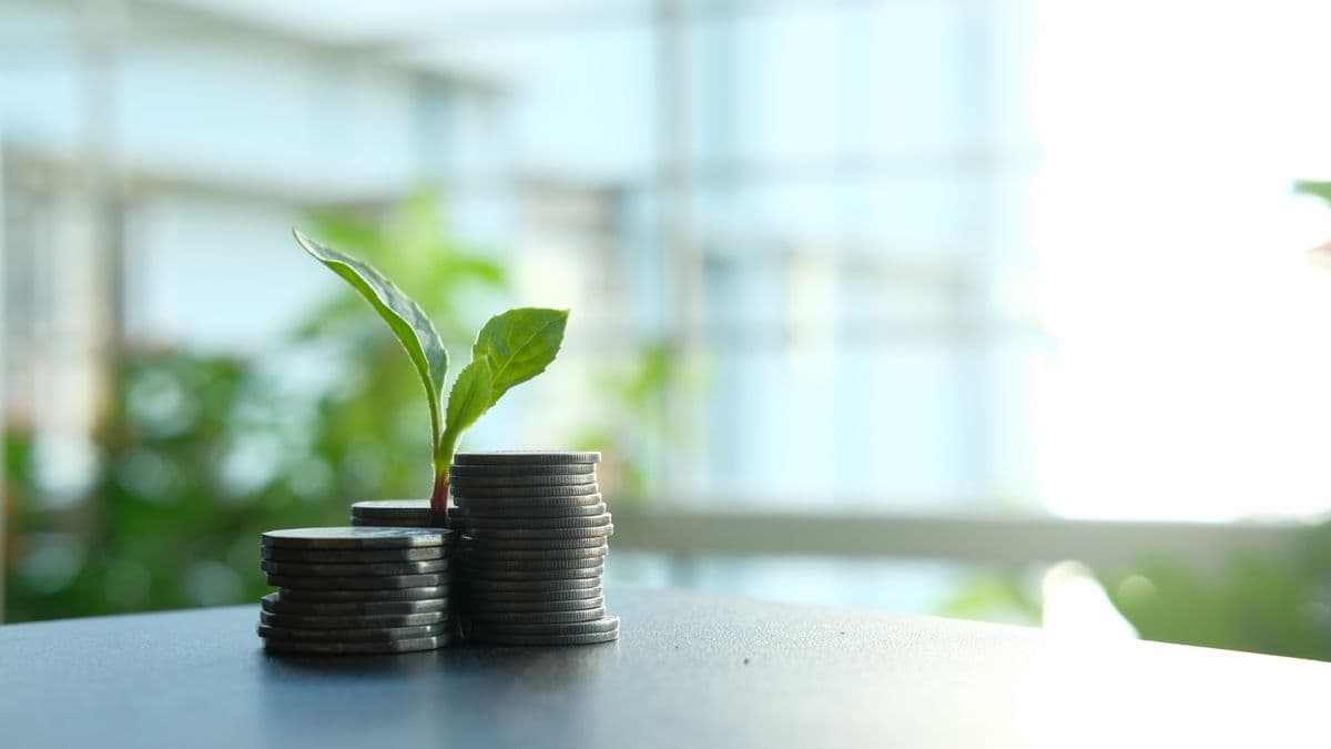 A plant sprouting from coins, symbolising building wealth