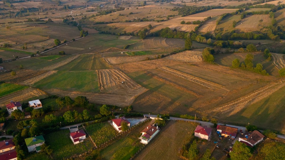 An aerial view of land and farmland as an investment
