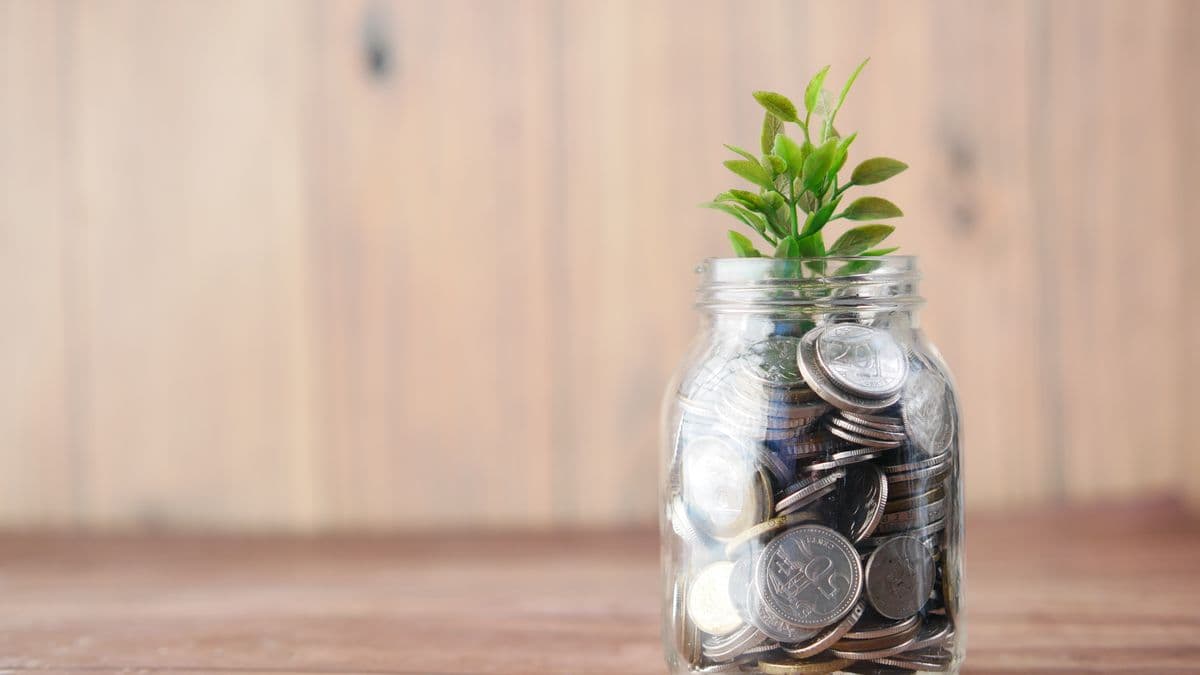 Coins in a jar with a growing plant showing net worth